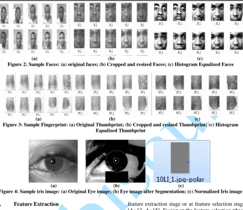 Figure 3: Sample Fingerprint: (a) Original Thumbprint; (b) Cropped and resized Thumbprint; (c) Histogram Equalized Thumbprint 