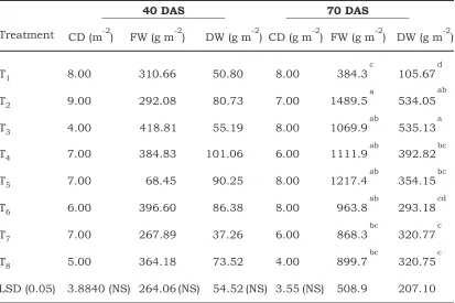 Table 3.Crop density (CD), fresh weight (FW) and dry weight (DW) at 40 and 70 DAS, as affected by different mulches in maize crop