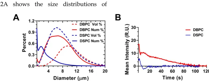 Figure 2A shows the size distributions of 