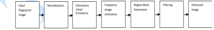 Figure 3: Fingerprint features  