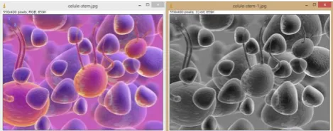 Figure 1. Transforming a color image into grayscale  