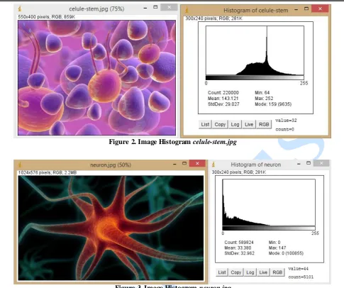 Figure 3. Image Histogram neuron.jpg 