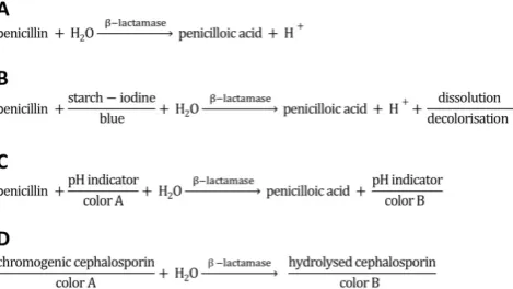 Figure 1. Reaction scheme of penicillinase activity and schematics of acidometric penicillin G detection (this work), and detection penicilloic acid and starch-iodine solution (iodometric assay)