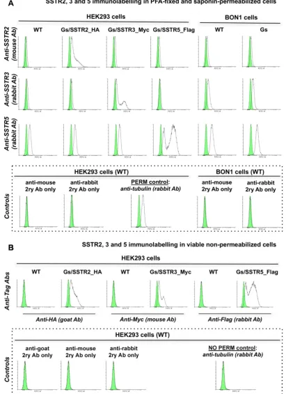 Figure 2. SSTR2, 3 and 5 expression in cell lines employed in the study: indirect immunolabelling in a flow cytometry analysis.transparent charts stand for either non-stained controls or fully stained samples; shaded green charts reflect the corresponding 