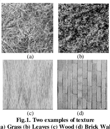 Fig.1. Two examples of texture   (c)                             (d) (a) Grass (b) Leaves (c) Wood (d) Brick Wall