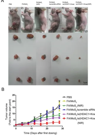 Figure 7 Antitumor activities of MoS2-based nanoparticle formulations in a Panc-1 xenograft animal model