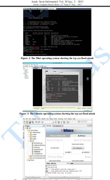 Figure 2: The Mint operating system showing the tcp syn flood attack 