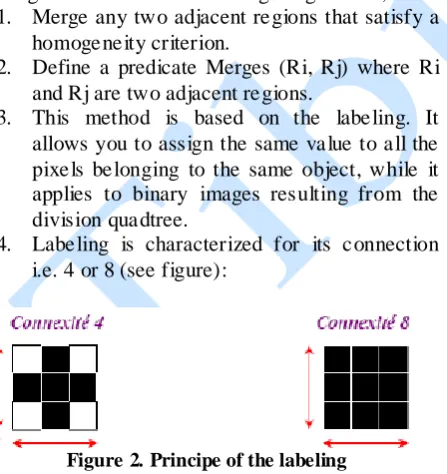 Figure 2. Principe of the labeling   