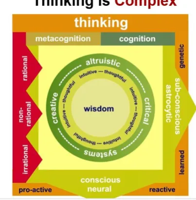 Figure 1. Metacognitive position in the complexity of ways of thinking 