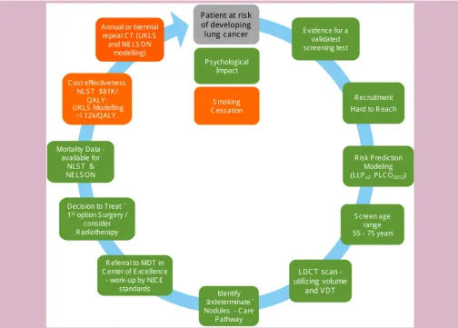 Figure 1 Levels of evidence for implementation of lung cancer screening in Europe.4 Amended/updated in 2019 from a figure published in ref 4 in 2016