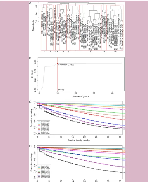 Figure 1 Ensemble Algorithm for Clustering Cancer Data prognostic groups and American Joint Committee on Cancer (AJCC) stages on the basis of dataset 1 involving T, N and M