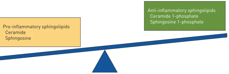 FIGURE 2 Competing sphingolipids with predominantly pro-inflammatory and anti-inflammatory properties,the net balance of which constitutes the “sphingolipid rheostat”.