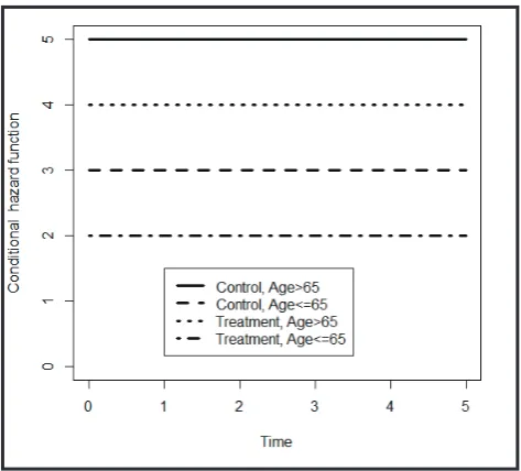 Figure 1. Hazard functions in different age categories