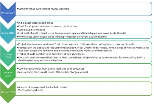 Figure 1 Timeline of audit design and implementation activity.