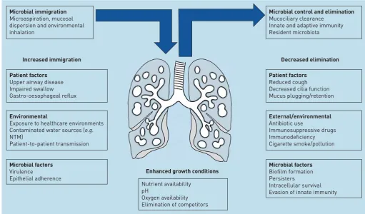 FIGURE 1 Illustration of the factors modifying the healthy and diseased lung microbiome