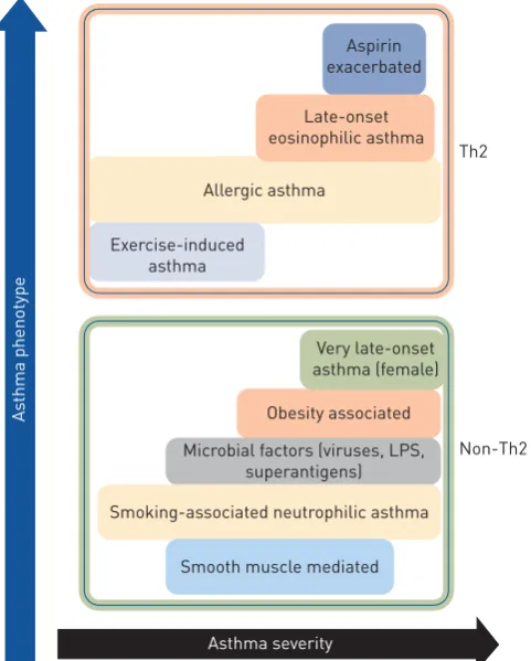 FIGURE 1 Classification of asthmaphenotypesanddiseaseseverity