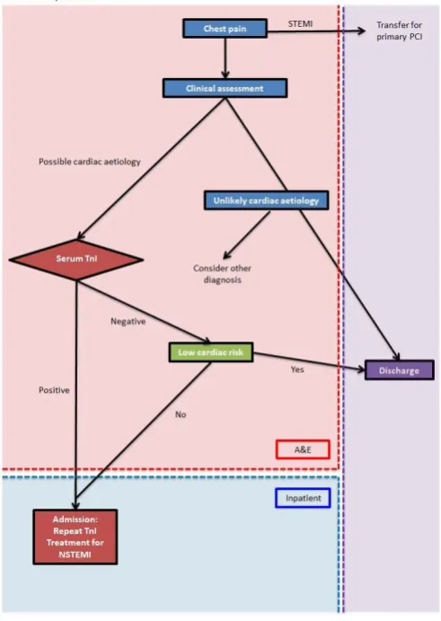 Figure 1 Flowchart demonstrating the chest pain pathway at West Middlesex University Hospital prior to QIP implementations