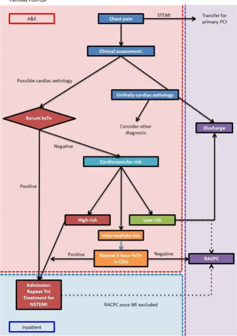 Figure 3 Flowchart demonstrating the chest pain pathway 