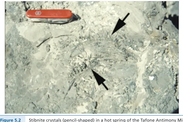 Table 5 .1, further investigations of comparatively more readily accessible terres-trial geothermal systems became popular 