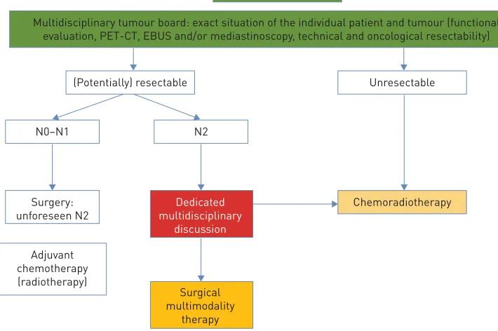 FIGURE 1 Principal management of patients with nonsmall cell lung cancer (NSCLC) in stage III