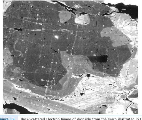 Figure 3.9 Back-Scattered Electron Image of diopside from the skarn illustrated in Fig