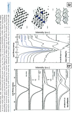 to (a) 2× (HpCrystal structure of the clean MgO (100) surface (bottom), the same structure upon first exposure to water molecules O) of 2-3 10Torr (after Liu et al–8 1998a)