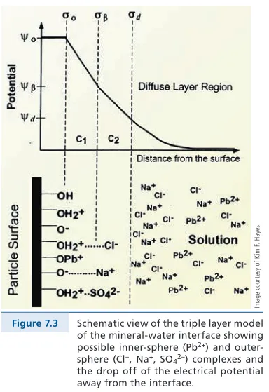 Fig . 7 .2a) . Empirically, these adions are weakly bound rela-tive to those that bind directly 