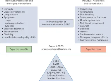 FIGURE 2 Benefit–risk balance and its individual determinants with personalised chronic obstructivepulmonary disease (COPD) treatment choices