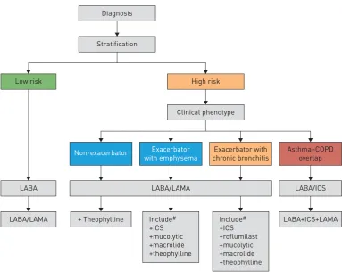 FIGURE 4 Flow chart of chronic obstructive pulmonary disease (COPD) therapy as a function of risk andclinical phenotype