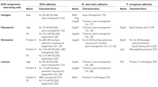 TABLE 1 A few examples of bacterial adhesins in Gram-negative bacteria