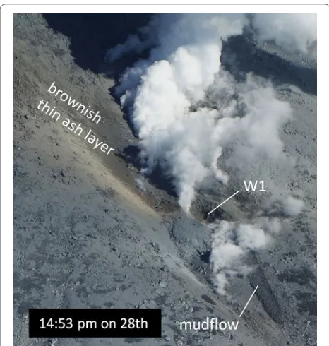 Fig. 4 Photographs of the eruption vents and fissures on the western slope of the Ichinoike cone, taken at 14:53 on September 28