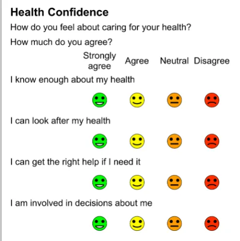 Figure 2 Final version of Health Confidence Score.