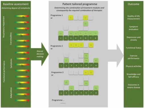 FIGURE 2 The process of a patient-tailored programme including the three core processes (baseline assessment, tailored treatment and outcomeassessment)