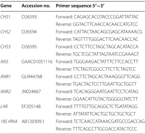 Table 1 Primers of  catechin biosynthetic genes for  real-time PCR analysis in Camellia sinensis
