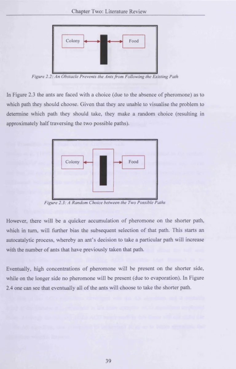 Figure 2.2: An Obstacle Prevents the Ants from  Following the Existing Path