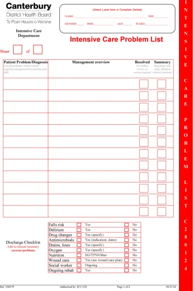 Figure 3 The final version of the intensive care unit (ICU) problem list.
