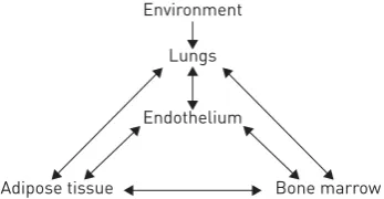 FIGURE 3 Proposed interactions among theenvironment,lungs,endothelium,bonemarrow and adipose tissue in the pathogenesisof chronic obstructive pulmonary disease andits comorbidities
