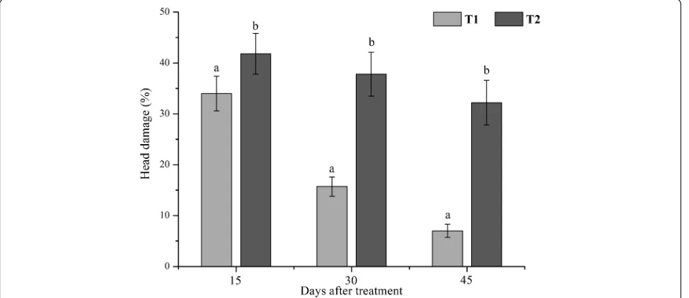 Fig. 2 Effect of biocontrol-based IPM and farmersBars = standard error, T1 = biocontrol-based IPM, T2 = farmers’ practice on a number of holes on cabbage leaves per plant by DBM at 15, 30, and 45 daysafter treatment