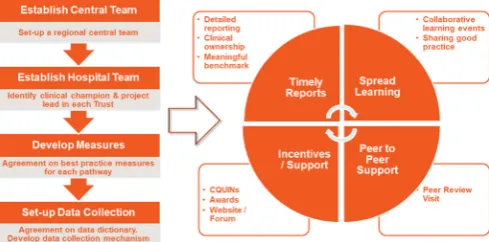 Figure 1 Programme methodology. This diagram shows the key features of the programme.