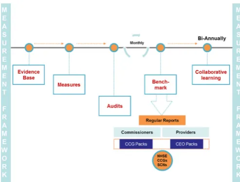 Figure 2 Measurement framework for the programme. CCGs, Clinical Commissioning Groups; CEO, Chief Executive Officer; SCNs, Strategic Clinical Networks.