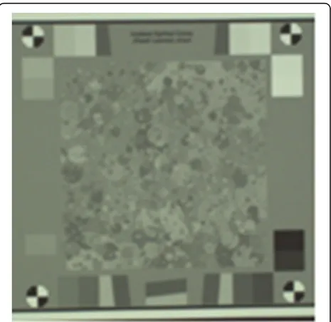 Fig. 8 Test pattern of texture acuity