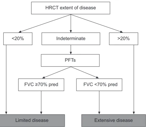 FIGURE 7. A suggested approach for the long-term follow-up of patients withsystemic sclerosis-interstitial lung disease