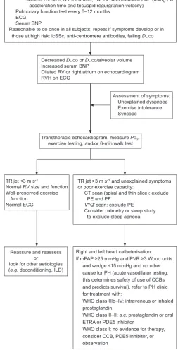 FIGURE 8. An algorithm for the early diagnosis of pulmonary arterial