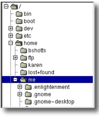 Figure 1: File system tree as shown by a 
