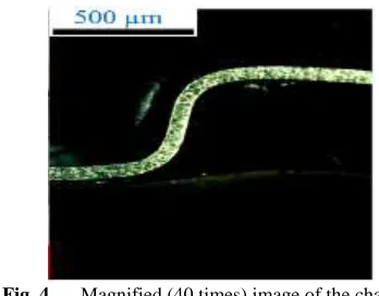 Fig. 4  Magnified (40 times) image of the channel. 
