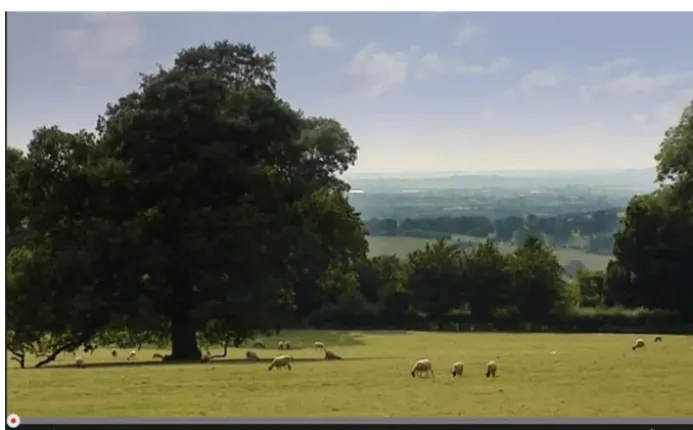 Figure 1: The British Imaginary. "Zopa Lambs - 2013 TV Advert," copyright Zopa 2013, source https://youtu.be/FhvI8x1kH38 
