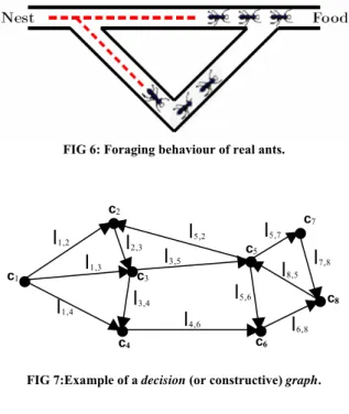 FIG 6: Foraging behaviour of real ants.