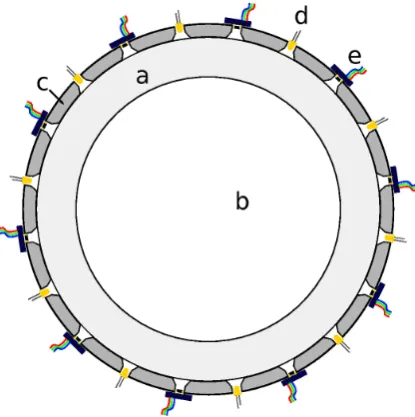 Figure 1. Schematic set-up of the measurement device. The image shows a cross section of the perspex Schematic set-up of the measurement device