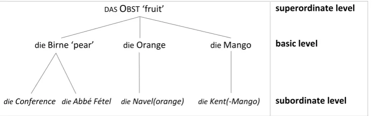 Figure 1: An (incomplete) taxonomy hierarchy of Obst 