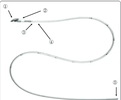 Figure 2 The esophagus was cut off obliquely to the long axiswith the automated stapler inserted from the right abdomen.
